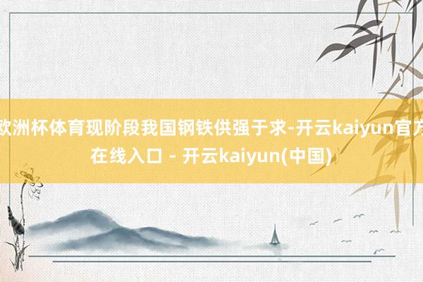 欧洲杯体育现阶段我国钢铁供强于求-开云kaiyun官方在线入口 - 开云kaiyun(中国)